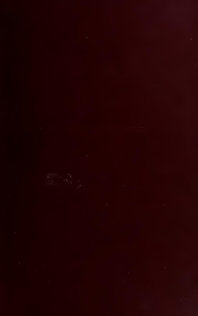 Nasty C célèbre 24 millions de streams sur sa mixtape en collaboration avec DJ Whoo Kid