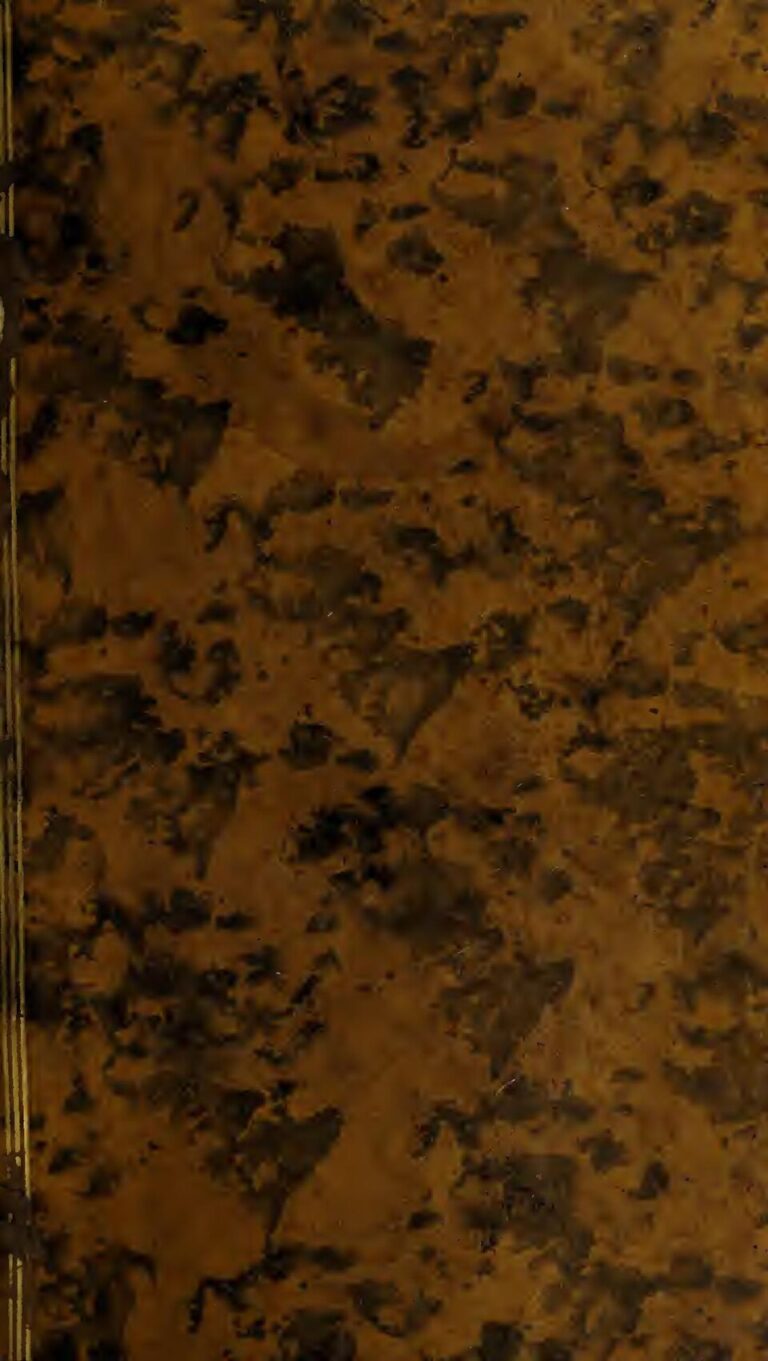 Le mystère derrière l’arbre de sang en Afrique Australe qui saigne comme les humains