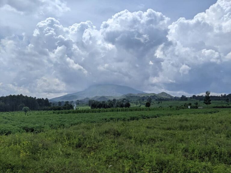 RDC, Éruption du volcan Nyiragongo : Félix Tshisekedi écourte son séjour en Europe