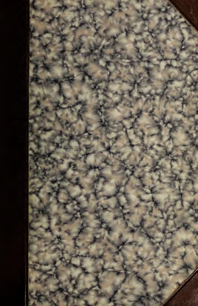 Une Attaque Fait 3 Morts Dans Le Village De Wassakoré Au Burkina