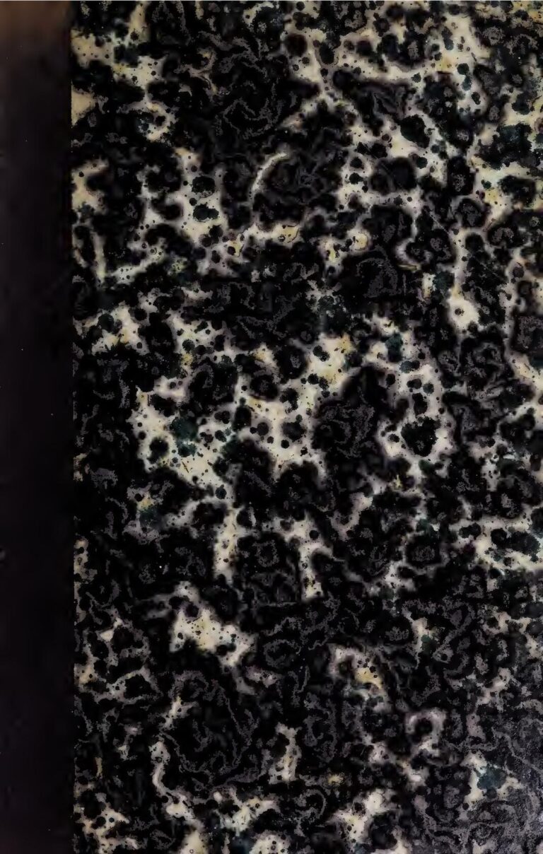 Le Maroc poursuit sa bataille diplomatique contre l’Algérie concernant le Sahara