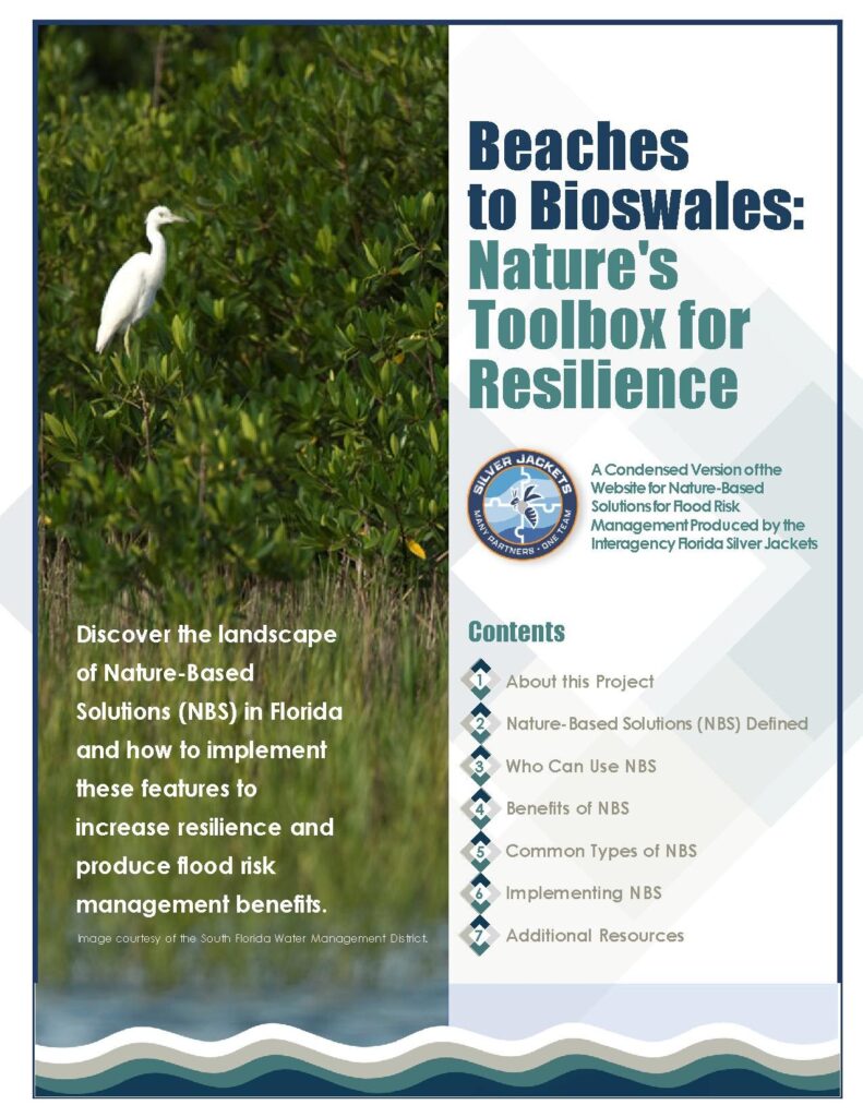 2021 Resilience Fund Grant Program: United States