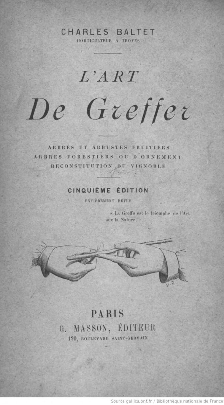 Côte d’ Ivoire : des inconnus repérés à bord d’un navire 