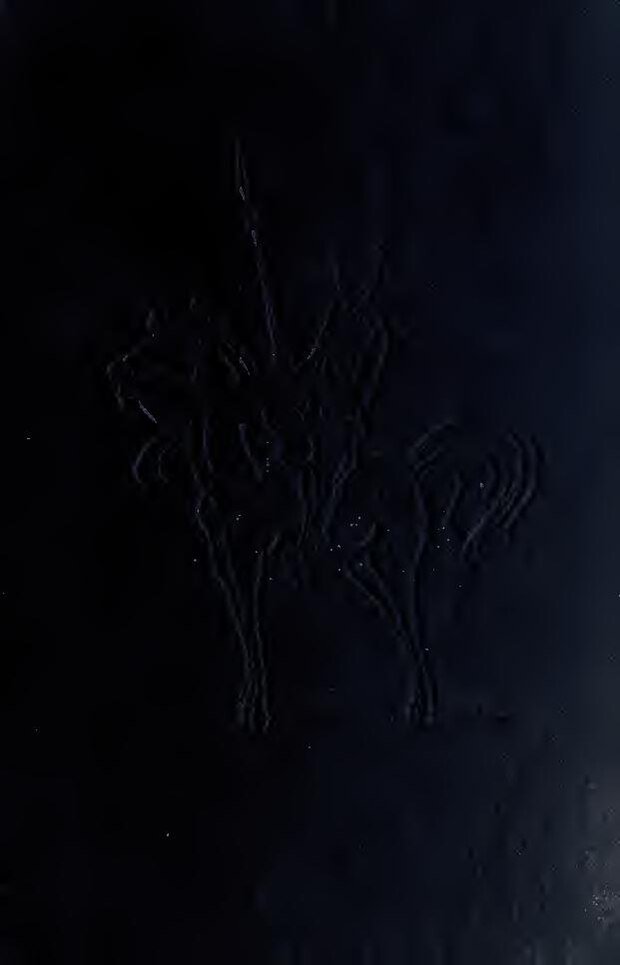 Liverpool : fâché, Mané met un vent à Klopp !