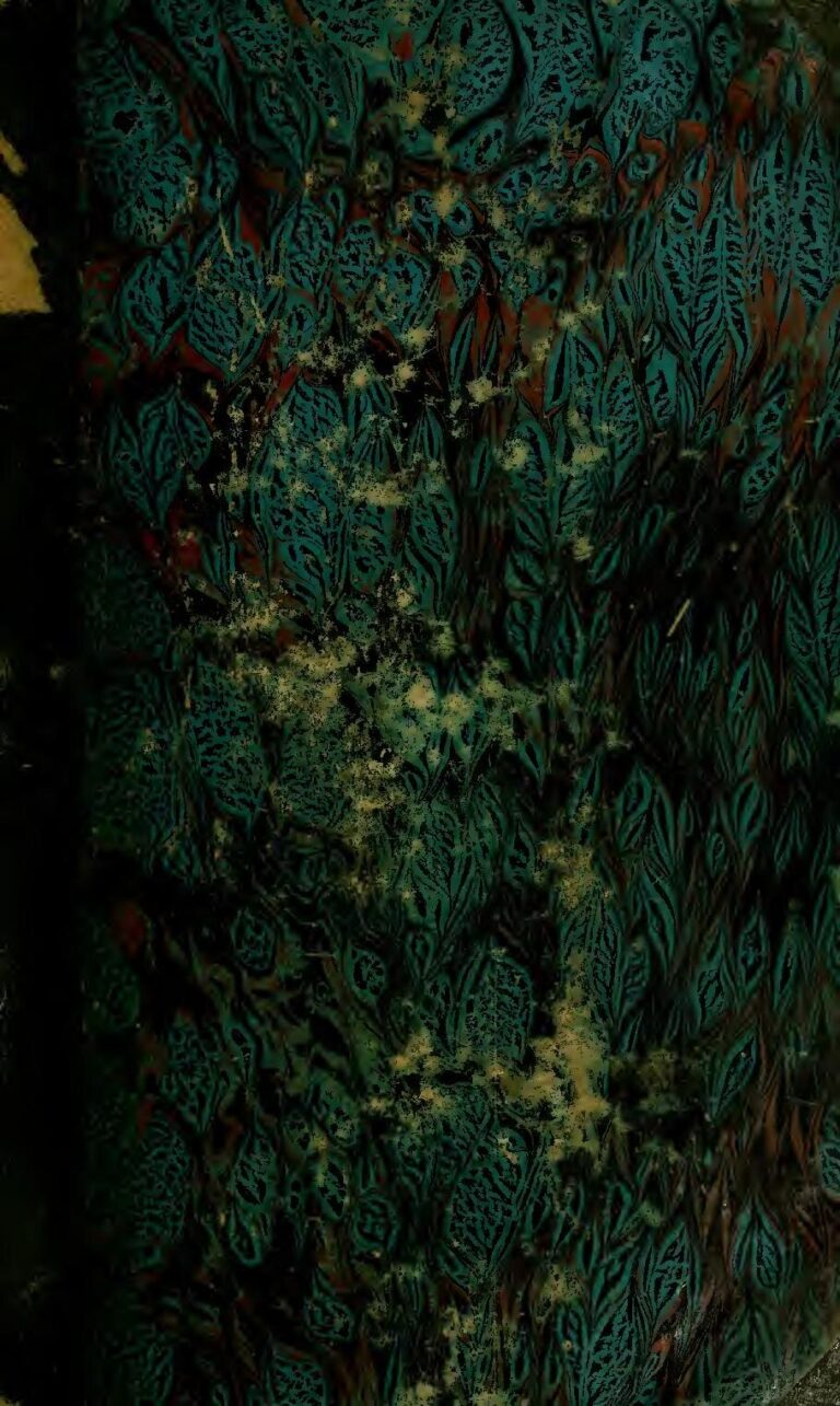 Une femme qui ne savait pas qu’elle était enceinte accouche dans un avion