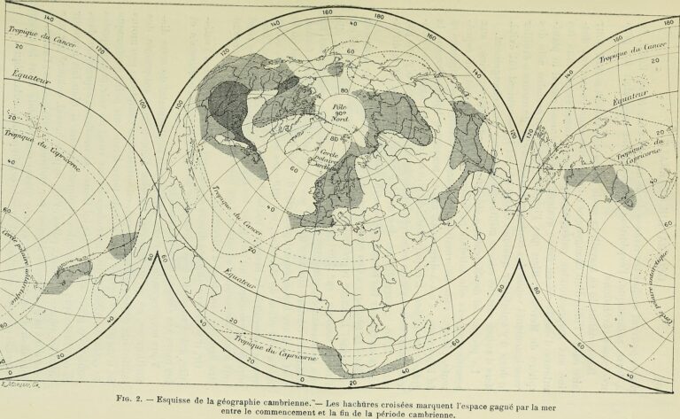 Cameroun : Que Cache La Rencontre Entre Paul Biya Et Aliko Dangote ?