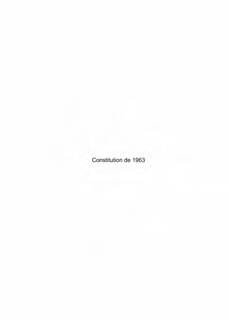 Les Algériens élisent leurs députés