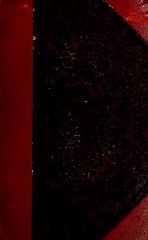 Glimmer Austin’s Grant Program to tackle Community relates issues in the US