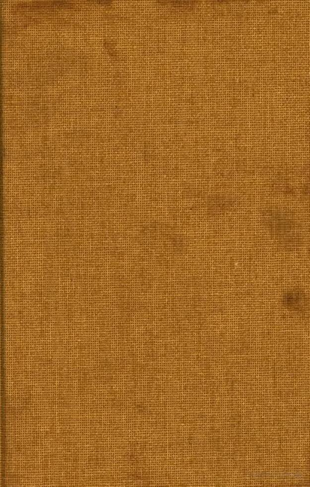 USA: Un célèbre pilote se tue en tentant de battre un record du monde (Vidéo)