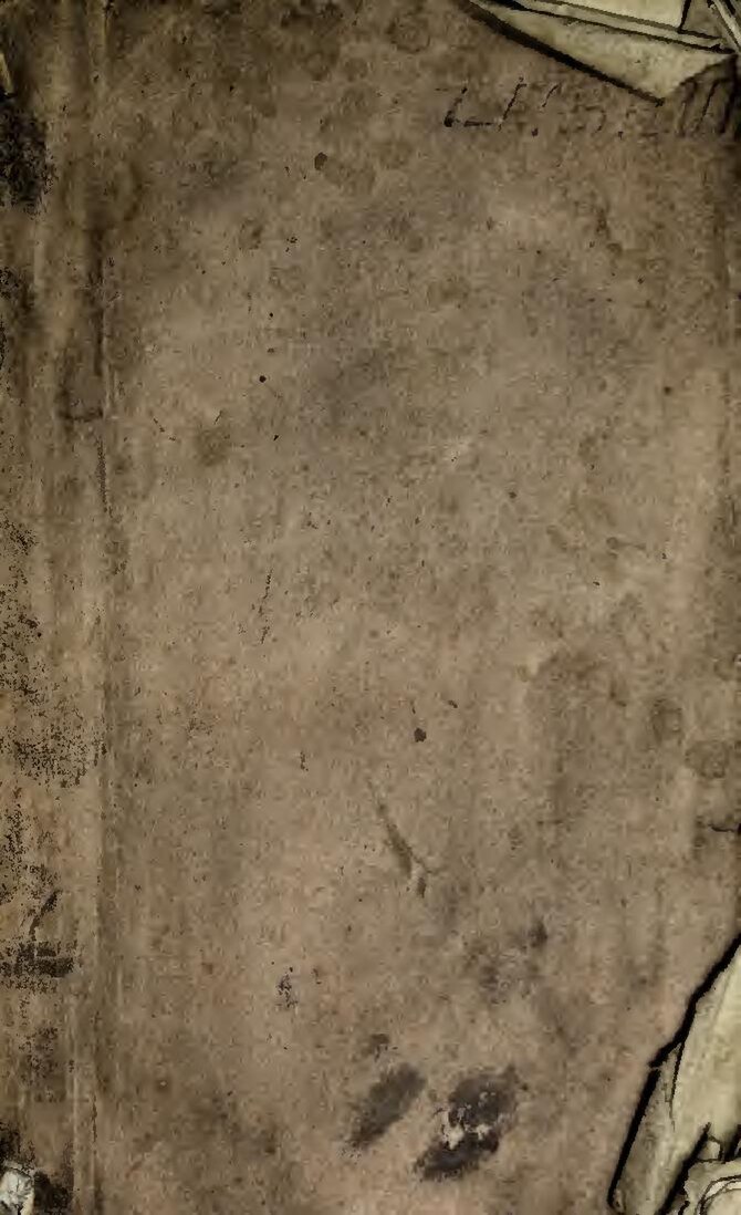 Côte d’Ivoire: un enfant a été tué pendant les festivités de l’Indépendance