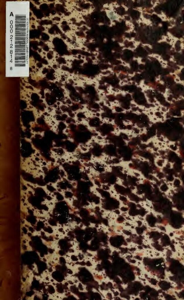 Mali : investi dans ses nouvelles fonctions, Assimi Goïta rassure