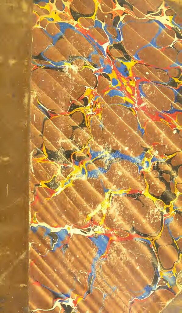 Qui était réellement Dora Akunyili, la seule Nigérian ayant reçu plus de 900 prix ?