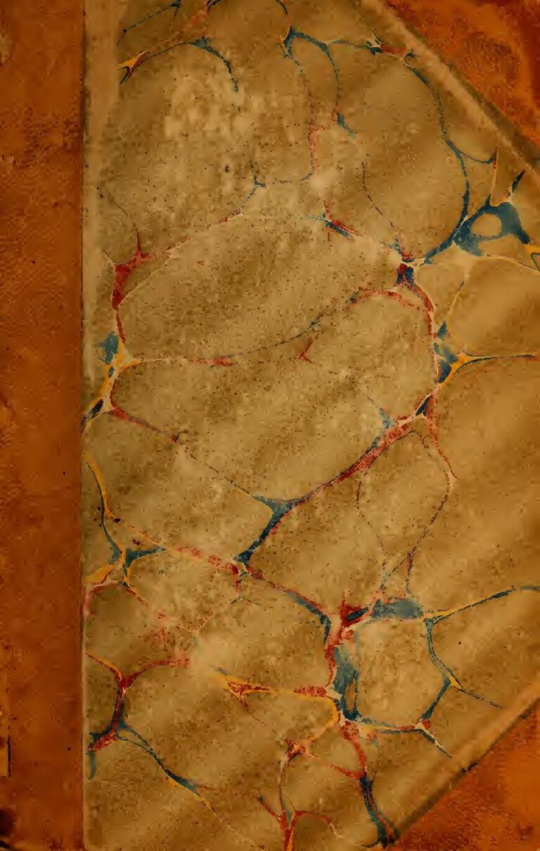 Une Brésilienne Révèle Ce Que C’est Que D’être L’une Des Femmes Les Plus Grandes Du Monde