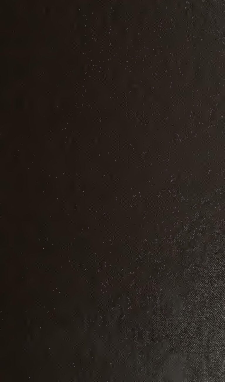 Il étrangle et tue son épouse en plein rapports s3xuels