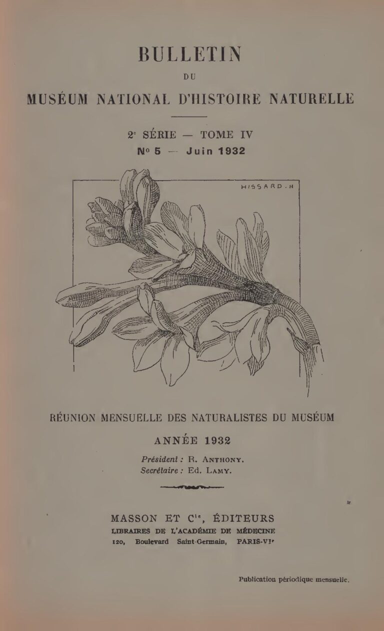 Nigeria : plus de 140 autres enfants chrétiens kidnappés à Kaduna