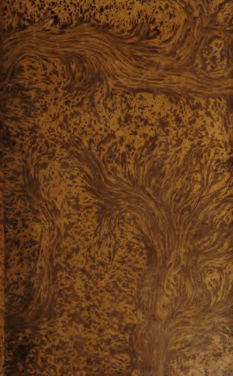 Syrie : une jeune fille de 18 ans abattue pour avoir refusé d’épouser son cousin