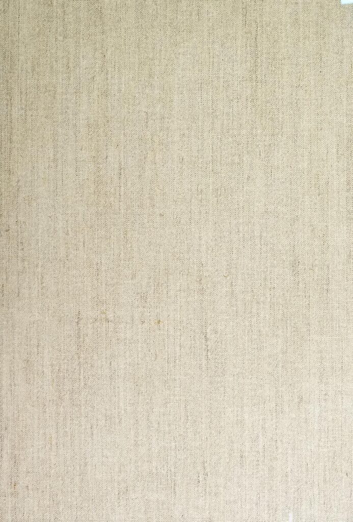 Raoul le Blanc se moque d’Aristo : « Après sa garde à vue, il s’est calmé »