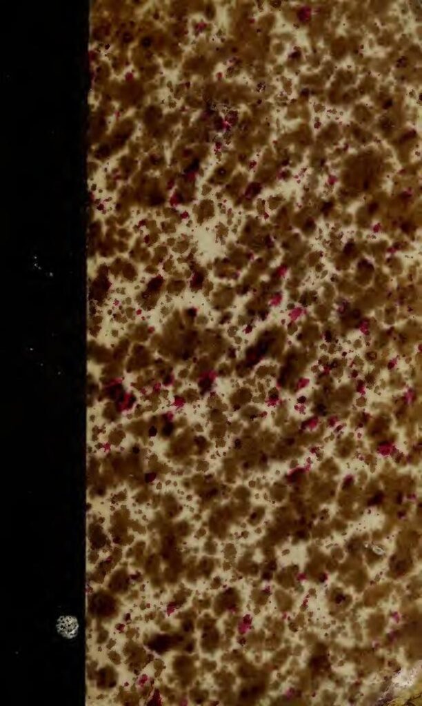 Brésil: un homme ivre tué par un requin après avoir marché dans la mer pour faire pipi