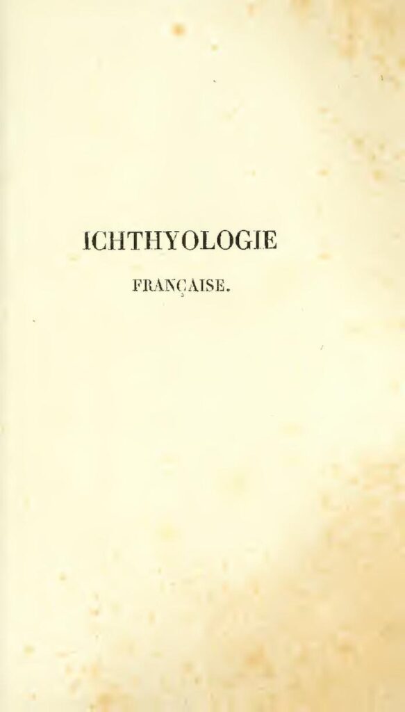 France : Manuel Valls est devenu chroniqueur télé