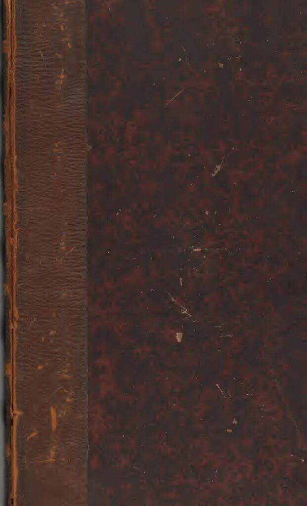 Afrique du Sud : 249 rhinocéros braconnés de janvier à juin