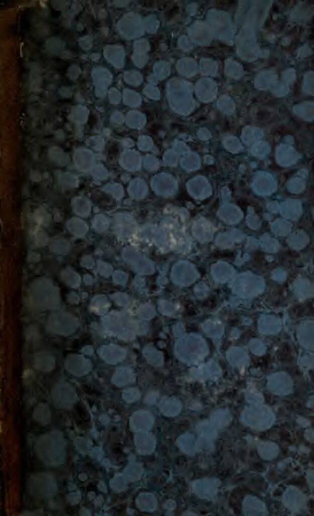 « L’Angleterre a réussi à avoir une ligue compétitive sans Messi et Ronaldo »