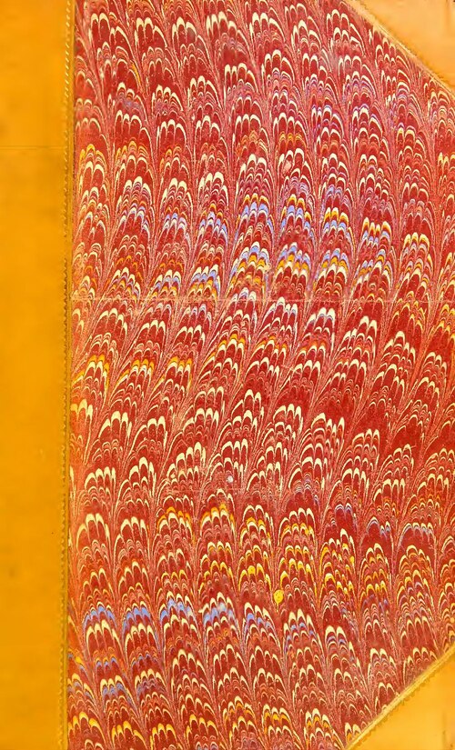 Femme, uriner sous la douche est une mauvaise idée