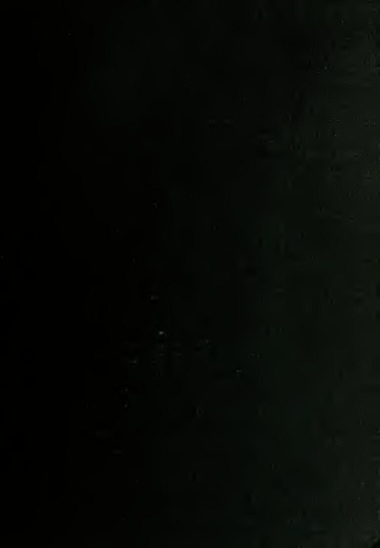 Afghanistan : un chef de  police sauvagement assassiné  par les talibans (vidéo)