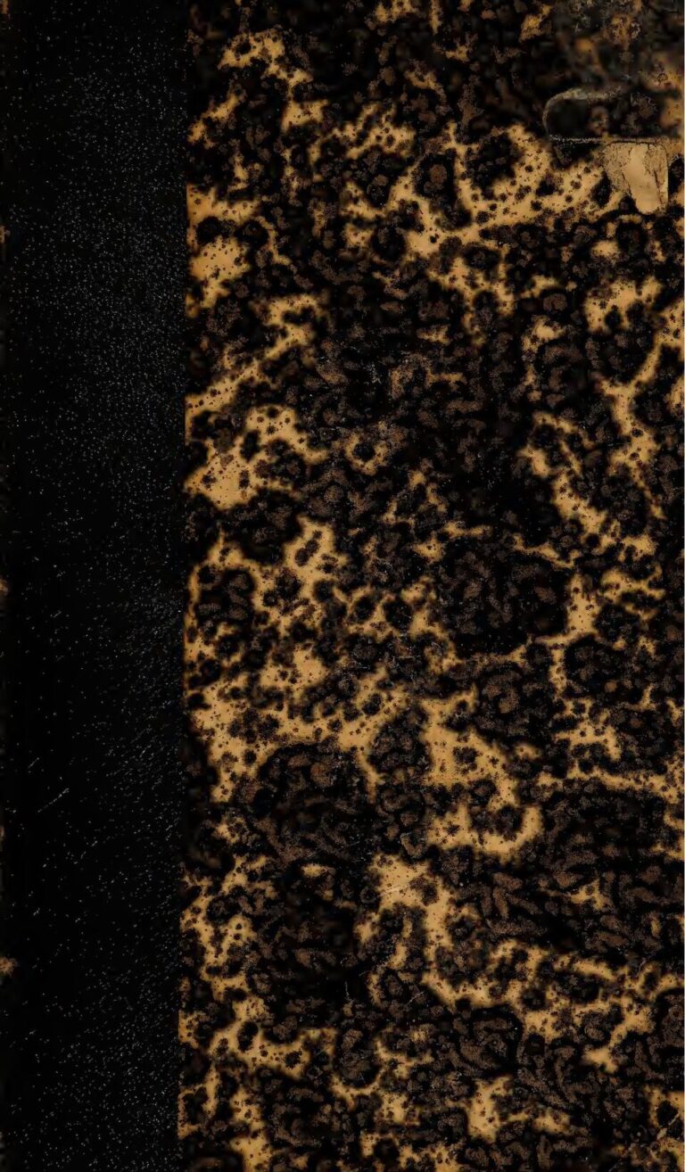 Le cerveau d&rsquo;un trafic de drogue arrêté par la gendarmerie de Hann à Yarakh