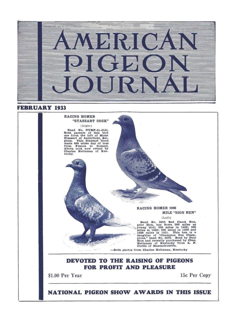 Iron Biby : 20 000 000 F CFA pour le recordman