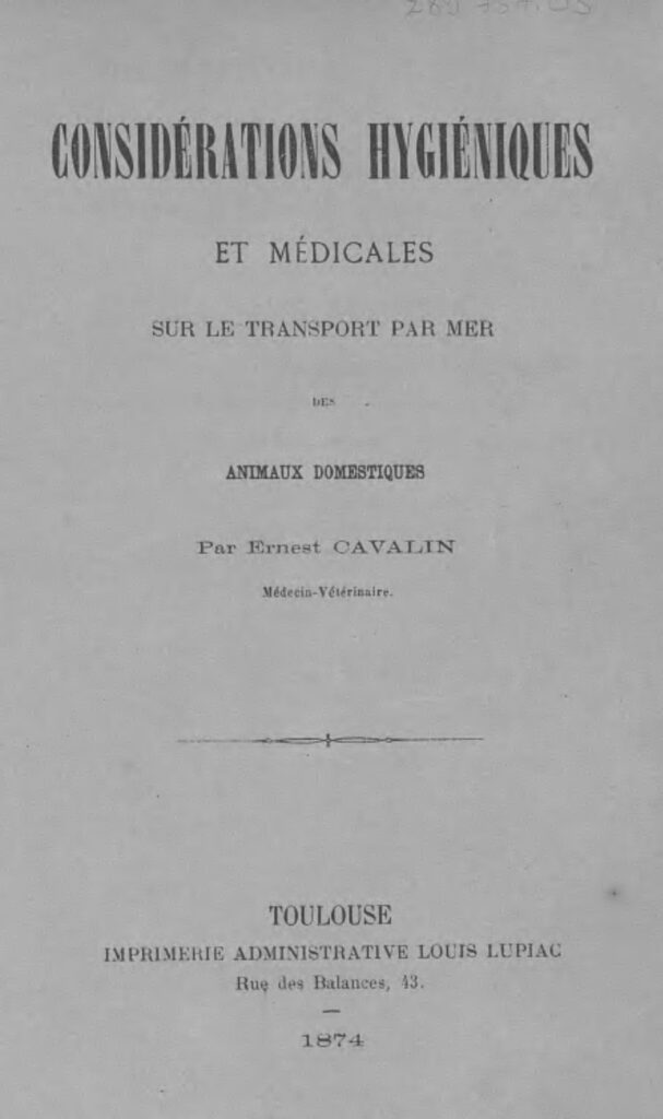 Nuisibles domestiques : comment s’en débarrasser ?