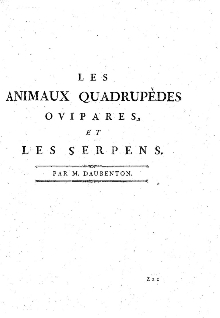 Qui pour garder les buts du PSG, Keylor Navas ou Gigi Donnarumma ?