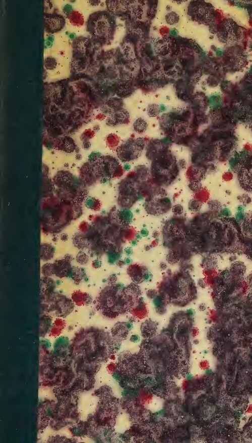 Euro 2020 : voici les 6 joueurs qui ont marqué le tournoi