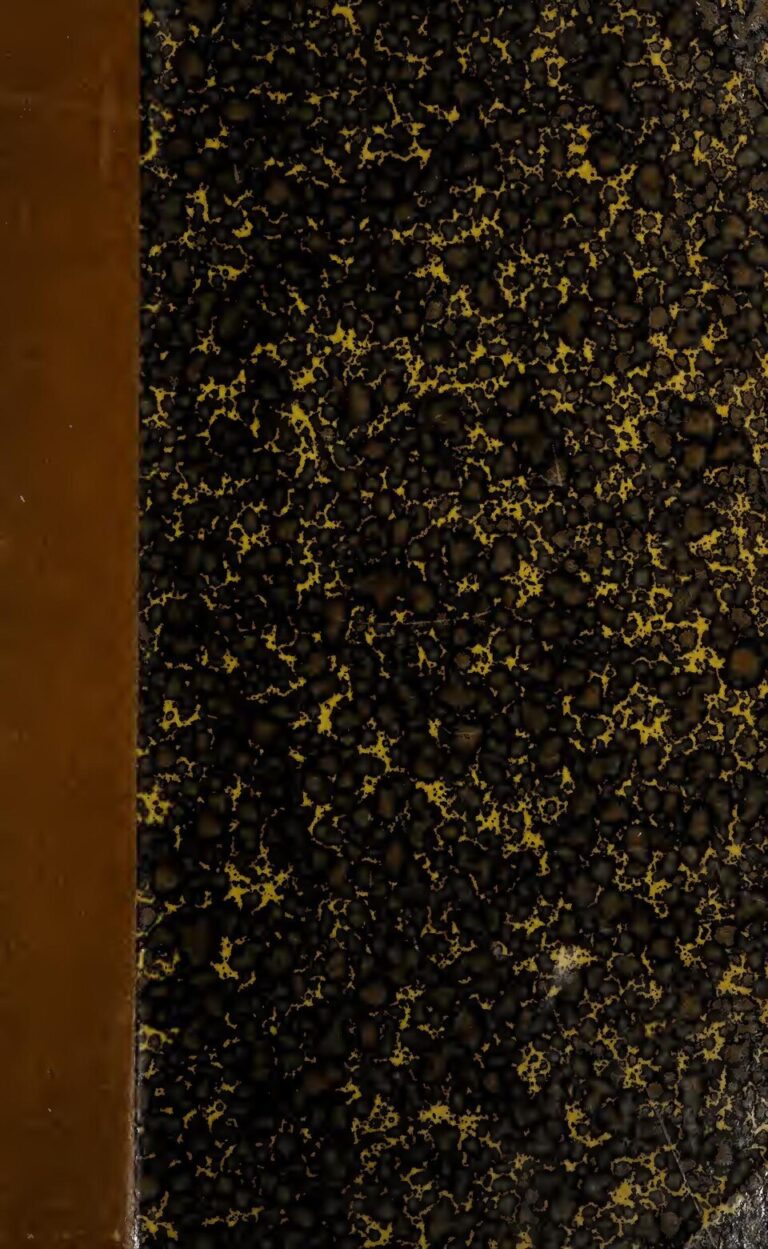 Côte d&rsquo;Ivoire : Ce que Ouattara prépare à la direction exécutive du RHDP