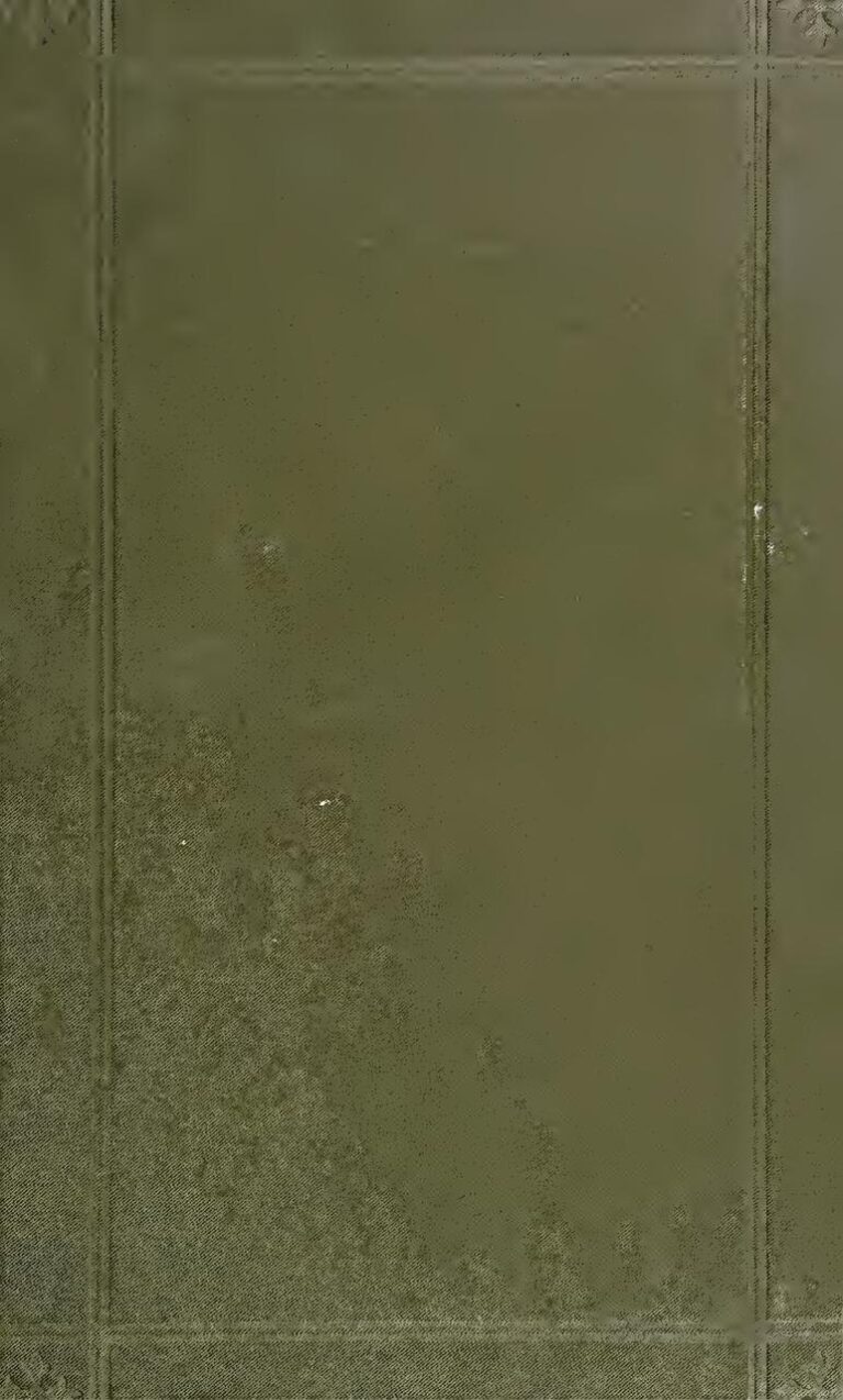 Man United – Everton : Cristiano Ronaldo sur le banc, l’erreur grave