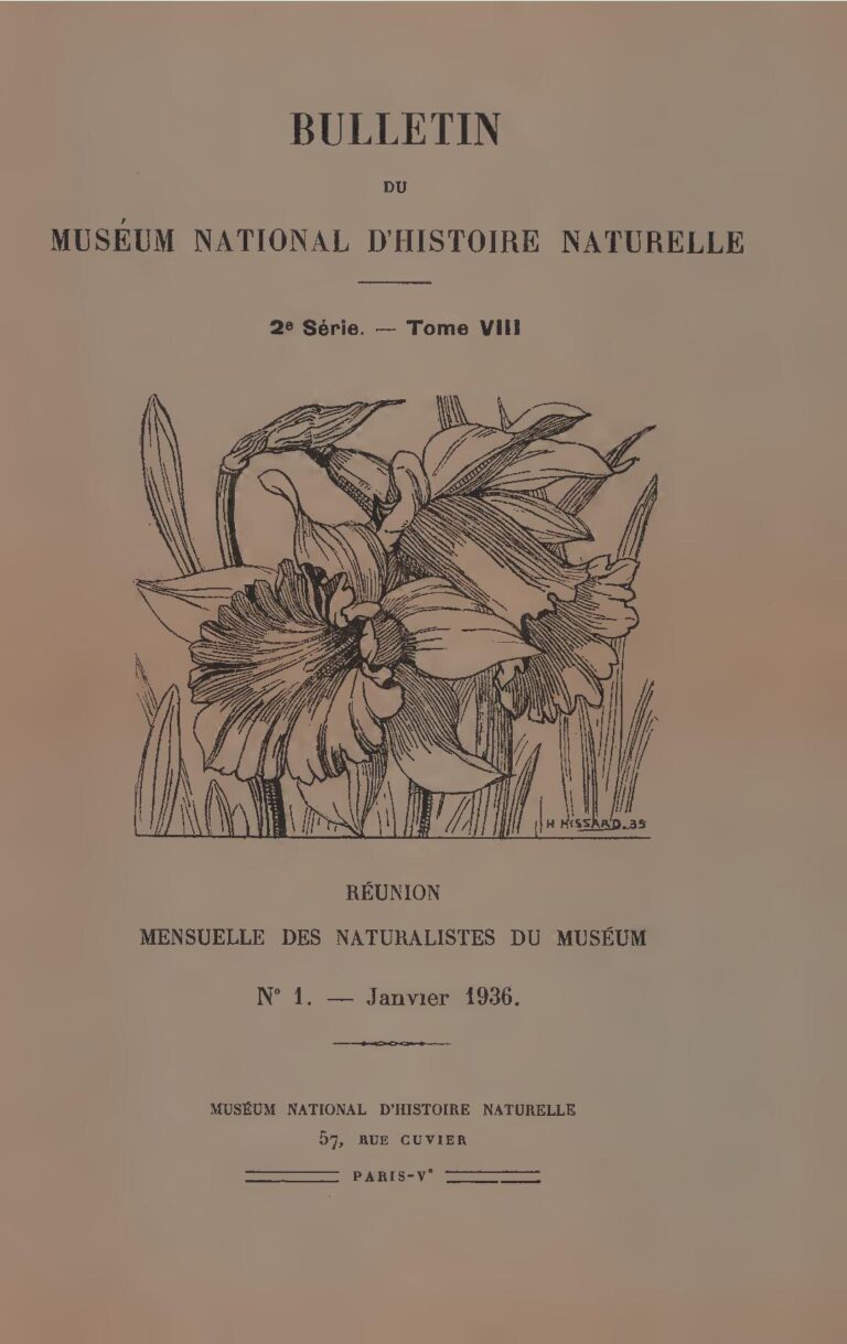Bourse Sophie Germain pour les Africains en France