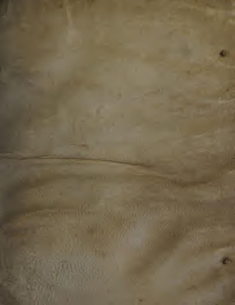 Affi a encore frappé à la porte : Gbagbo a 18 représentants avec « l&rsquo;appui du PDCI-RDA »