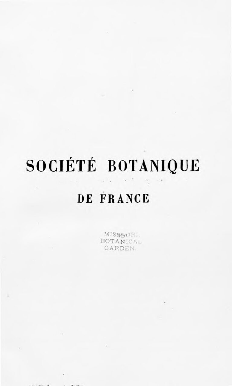 La France accusée par l&rsquo;Algérie