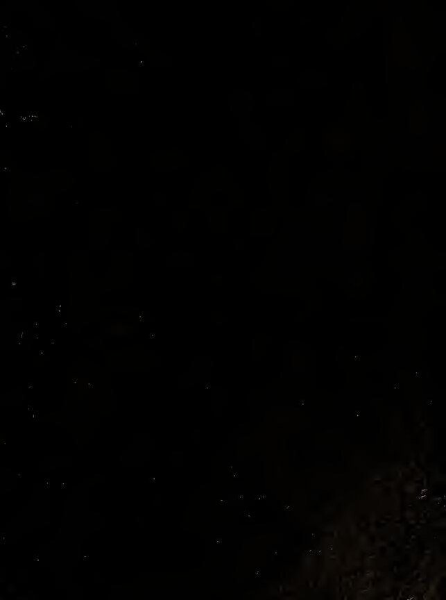 Vidéo d&rsquo;une jeune femme qui devient folle après être descendue de moto