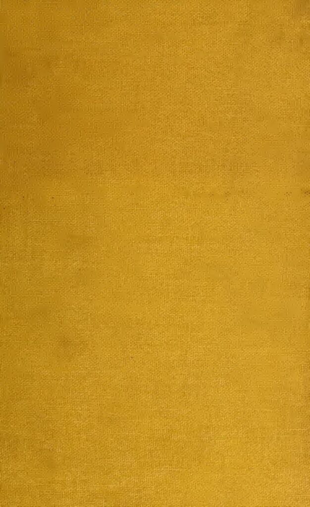 Afrique du Sud : un pasteur détruit un couple nouvellement marié (photos)