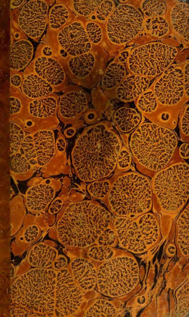 Grossesse : Voici les erreurs que vous ne devez pas commettre au cours des trois premiers mois !