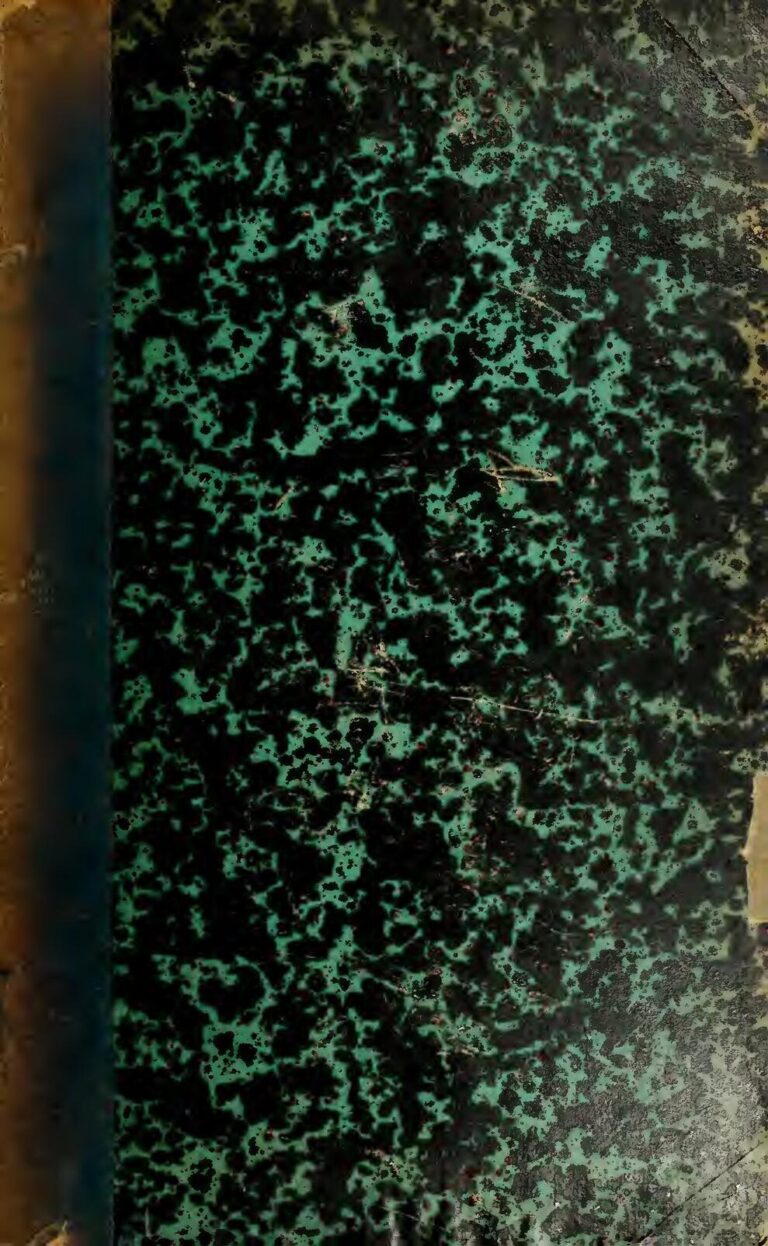 Que planter en novembre ? Commencez votre liste complète de plantes, fruits et légumes pour votre jardin d&rsquo;hiver