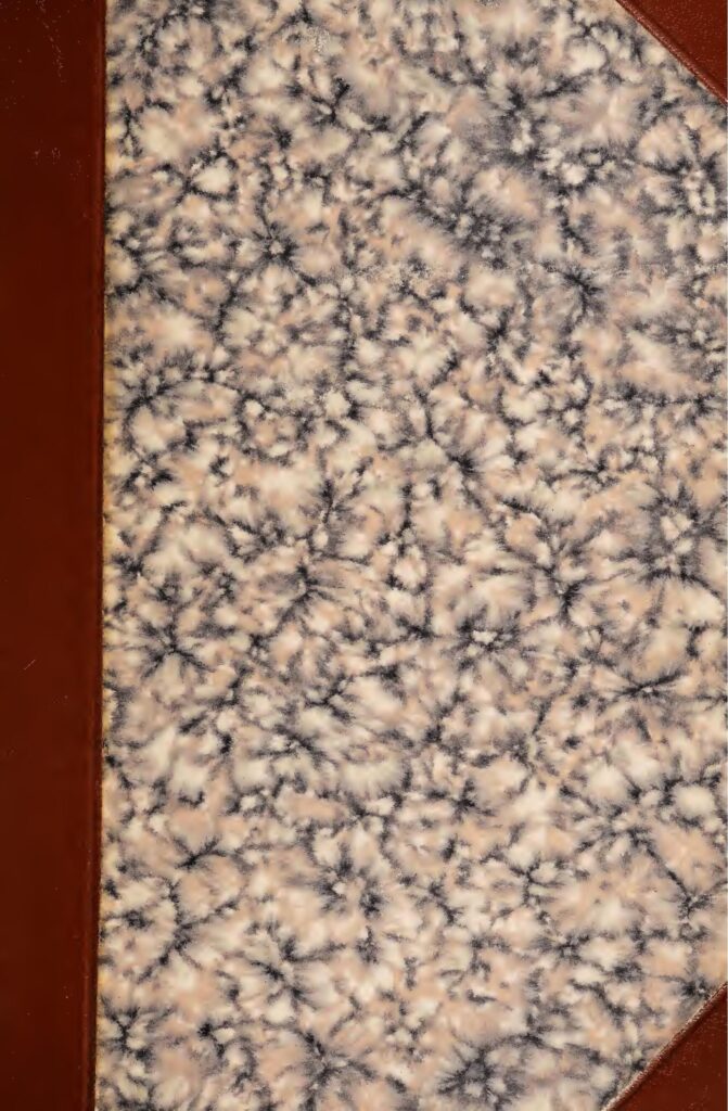 L&rsquo;homme qui aurait tué sa petite amie est décédé accidentellement en essayant de cacher son corps