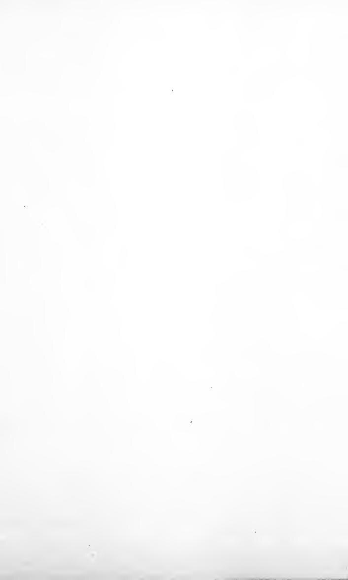 Finance : Comment augmenter votre argent ?