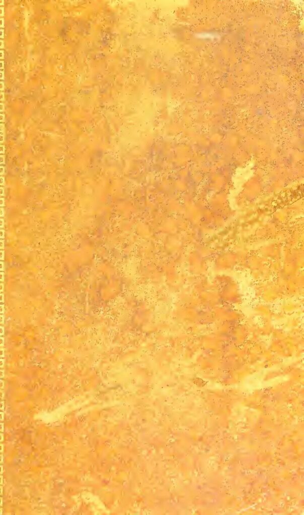 Guerre civile en Éthiopie : comment Abiy Ahmed a mené la riposte contre le TPLF