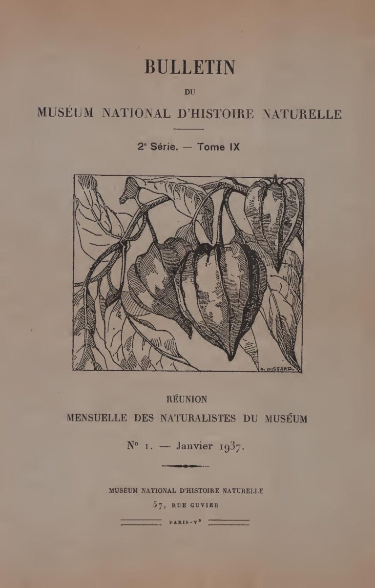 Abidjan : Des corps sans vie de jeunes filles découverts dans une résidence