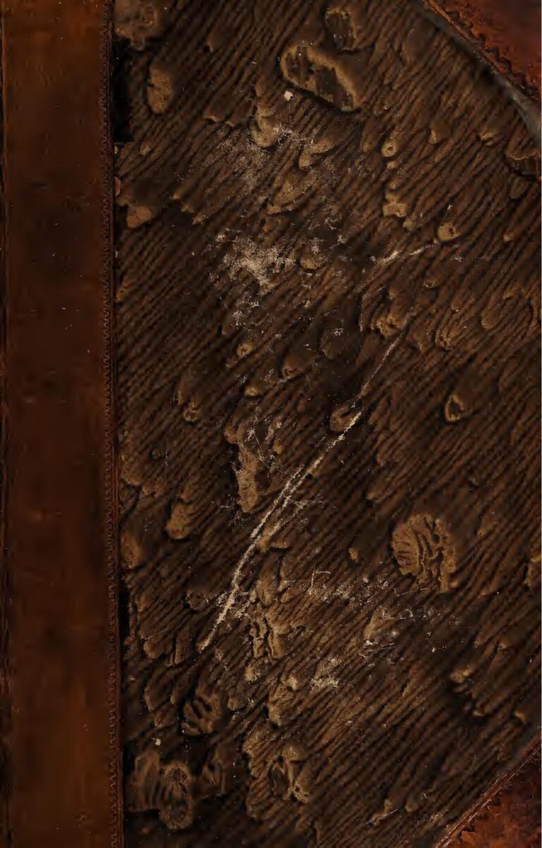 Une jeune fille se suicide en voulant échapper à un mariage forcé