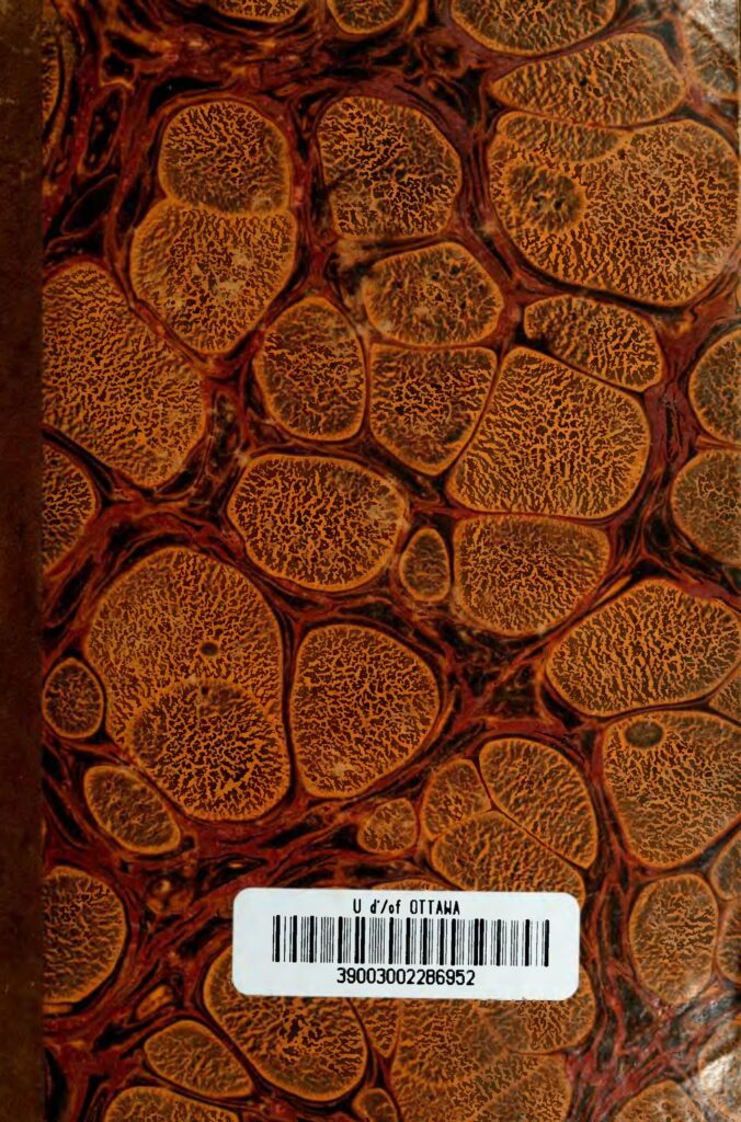 Une femme poursuit son frère pour l&rsquo;avoir violée pendant des années