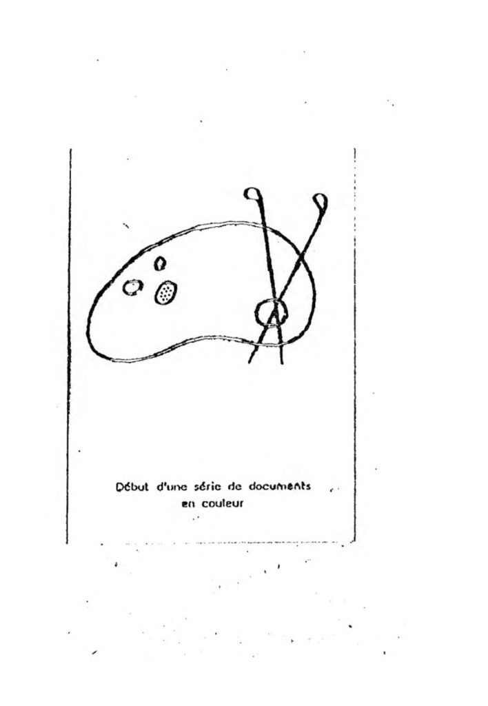 États-Unis : un nouveau-né abandonné dans une boîte en Alaska