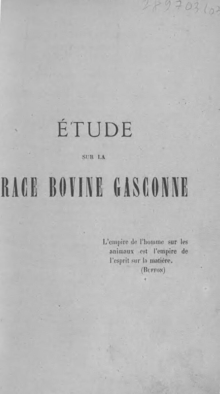 Bourses de fin d&rsquo;études doctorales – dépôt 4e année / BFED4 ESP E2022