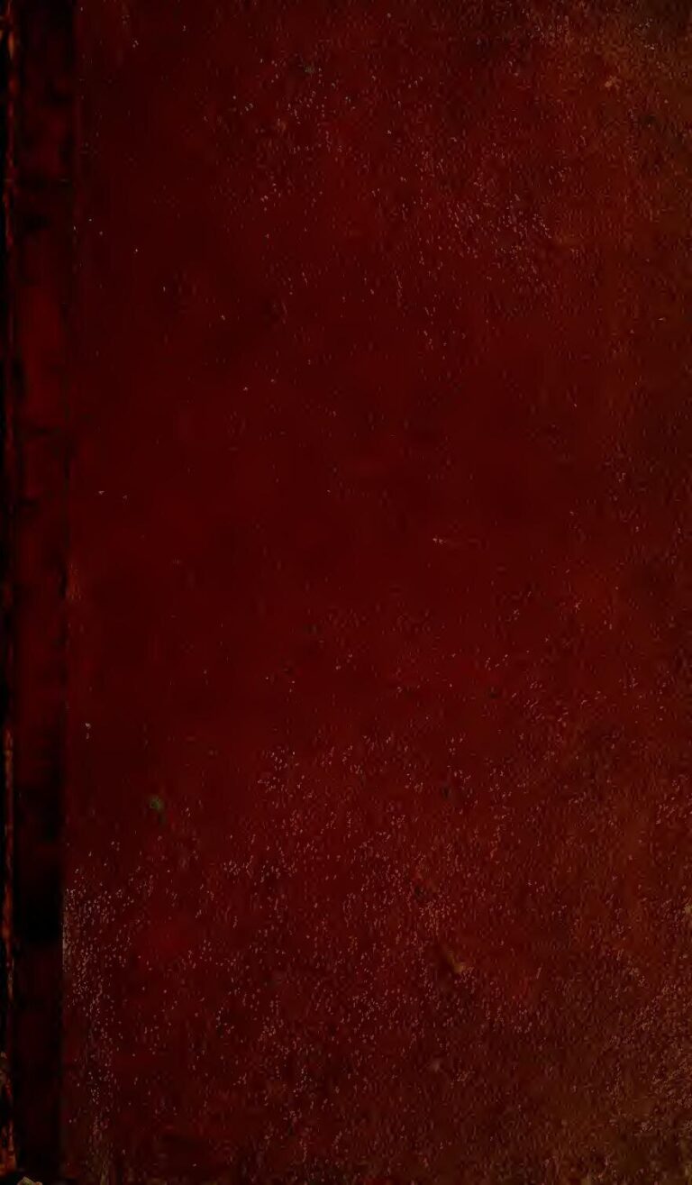 Incroyable : Une femme enceinte se fait planter un clou dans la tête (Photos)